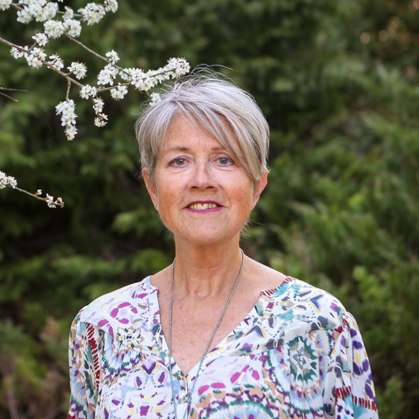 Ellen Zonneveld, systemische coaching Delft